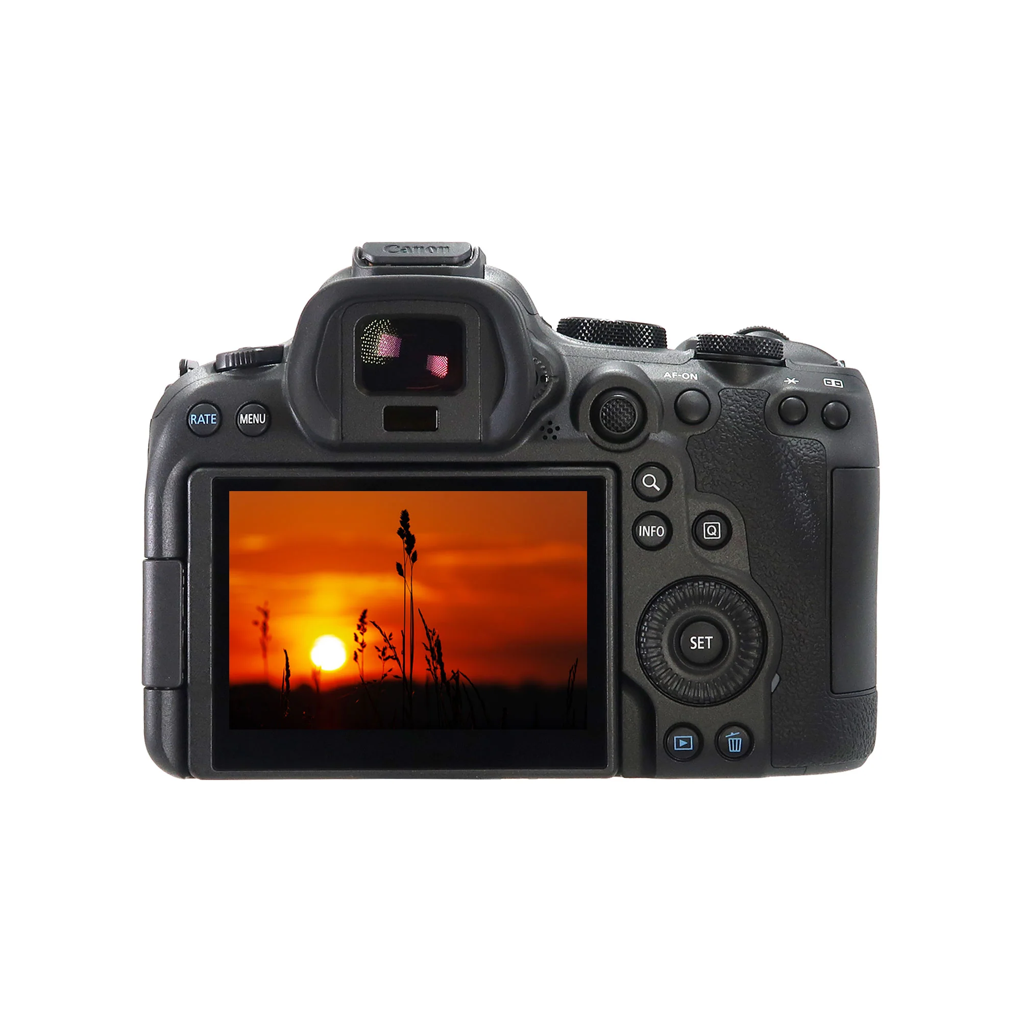 Canon EOS R6 Mark II Mirrorless Camera with RF 24mm f/1.8 Macro IS STM Lens Basic Accessory Bundle - Image 2