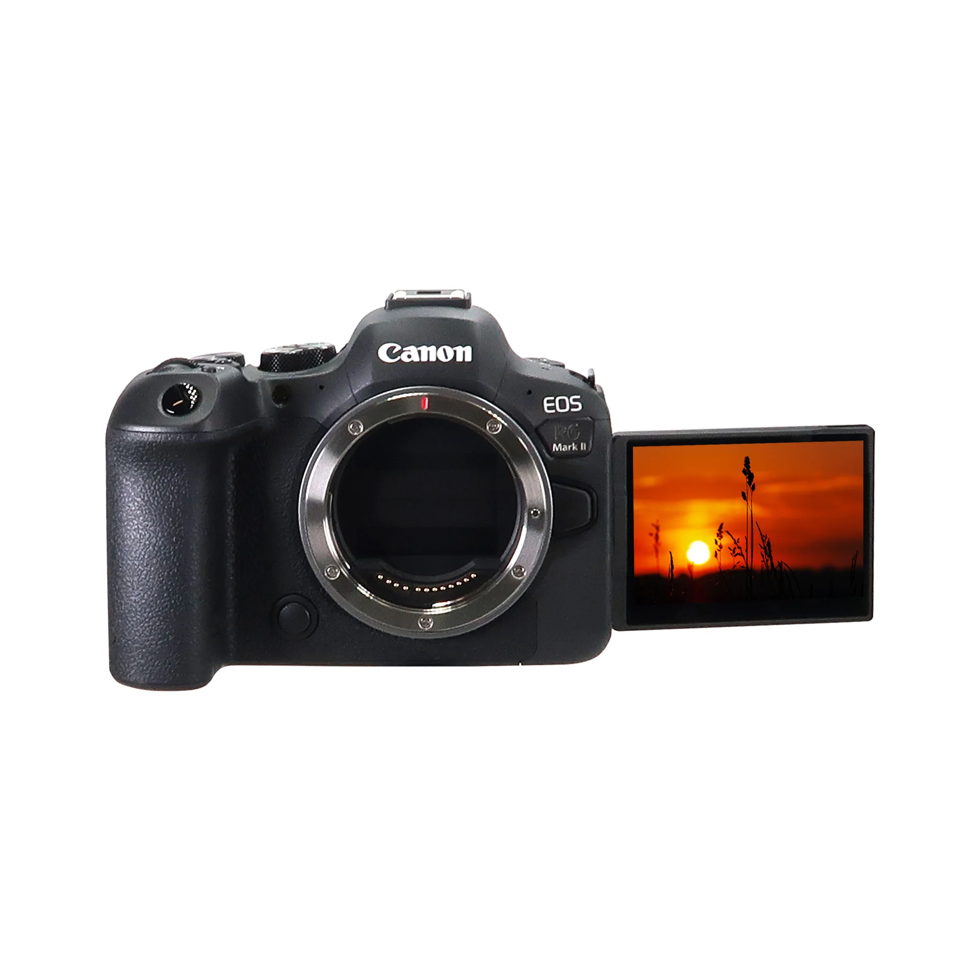 Canon EOS R6 Mark II Mirrorless Camera with RF 24mm f/1.8 Macro IS STM Lens Basic Accessory Bundle - Image 3
