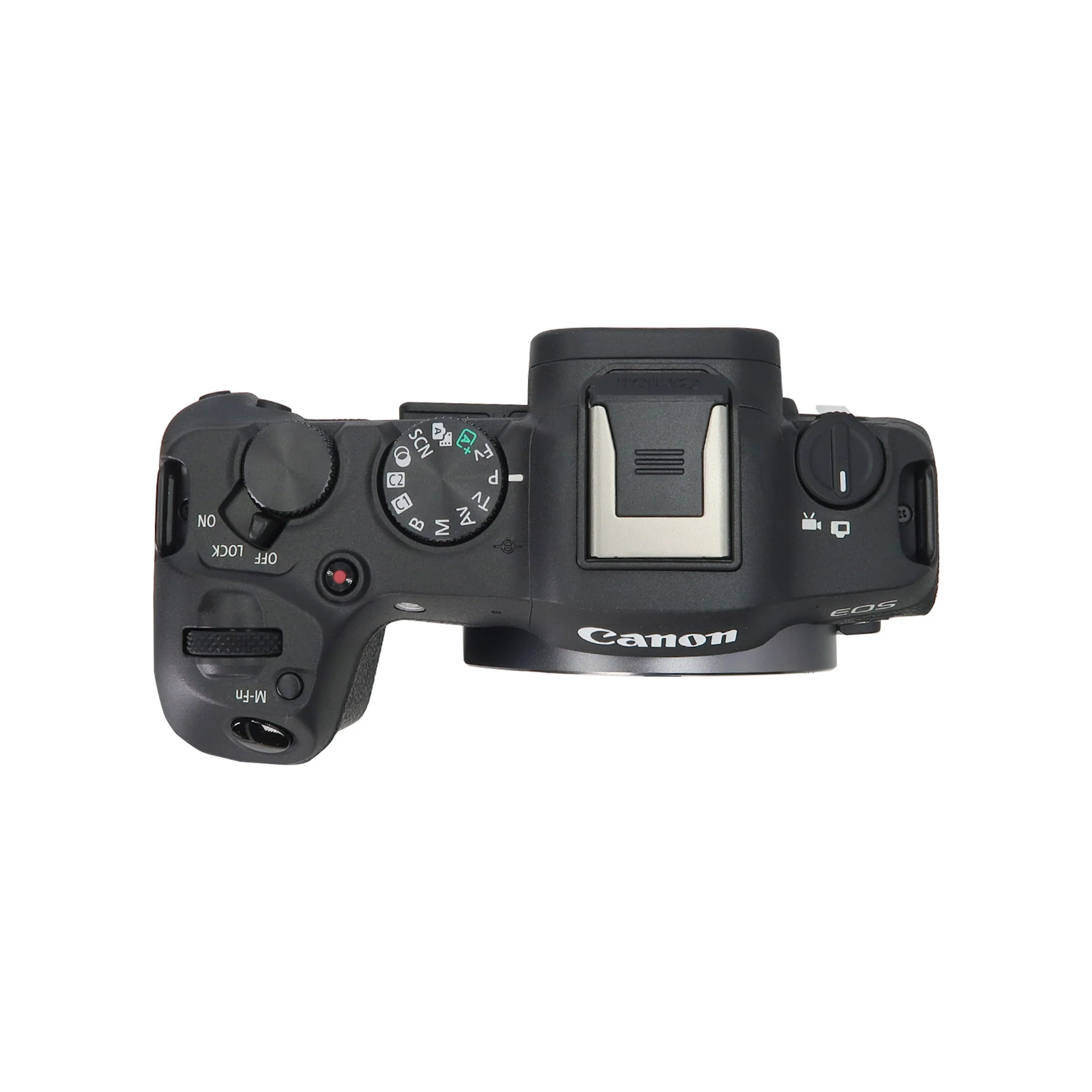Canon EOS R8 Mirrorless Camera (Black) with Canon RF 50mm f/1.8 STM Lens Basic Accessory Bundle - Image 6