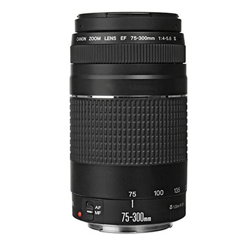 Canon EOS Rebel T7 DSLR Camera + 18-55mm Lens + 75-300mm Lens + 58mm UV Filter + Filter Kit + Telephoto&Wide Angle Lens + 16GB Memory Card + Wallet + Reader + Grip Strap + Case + Lens Pen + Cap Holder + Cleaning Kit + Tall & Mini Tripod - Image 4