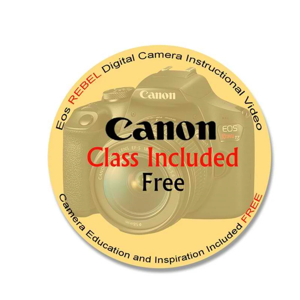 Canon 100ES Digital SLR Gadget Bag for All EOS and Rebel Cameras with Canon Free Instructional Video Class - Image 3