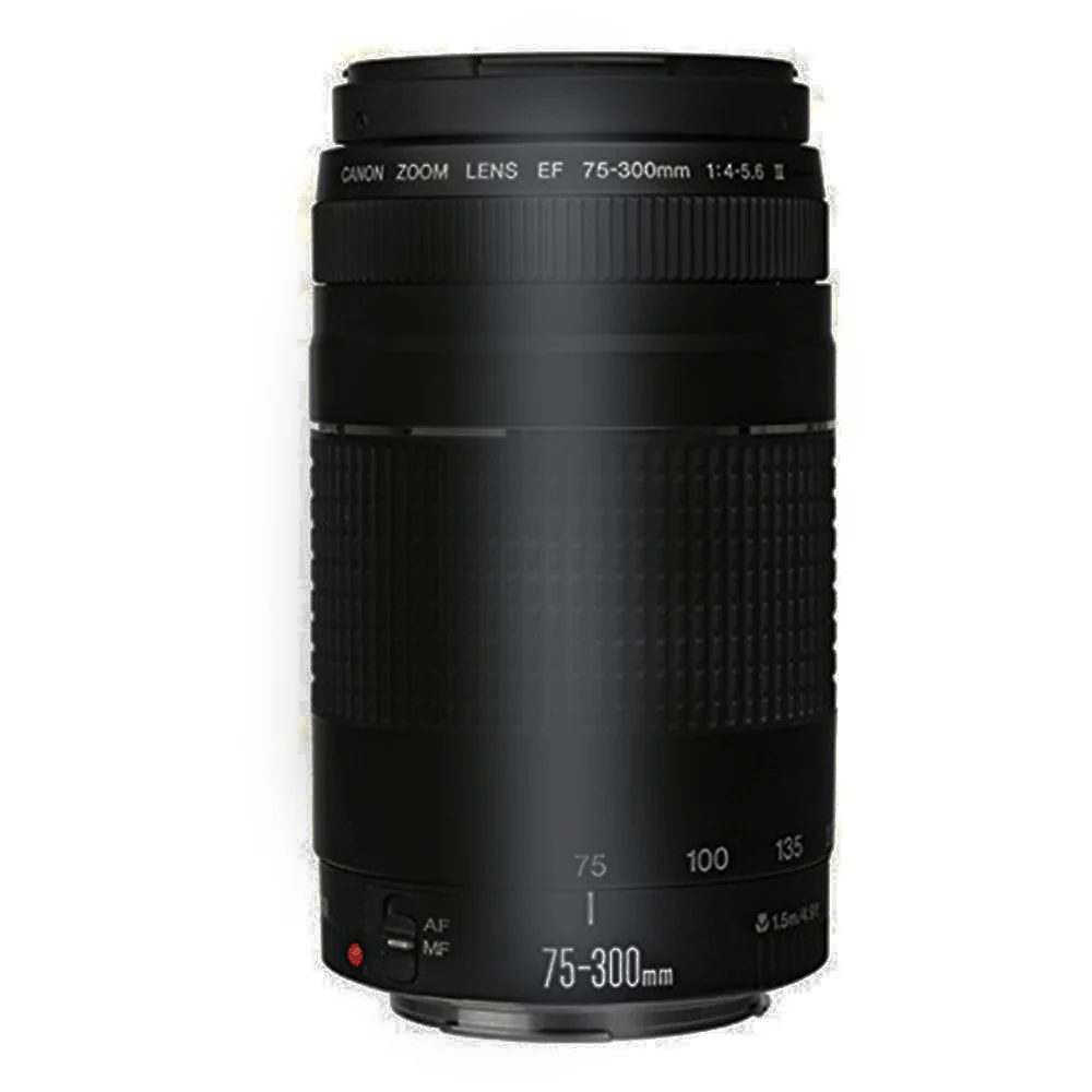 Canon EF 75-300mm f/4.0-5.6 III Lens with EF to EOS R Adapter for Canon EOS R RP R3 R5 R6 R7 R10 - Image 2