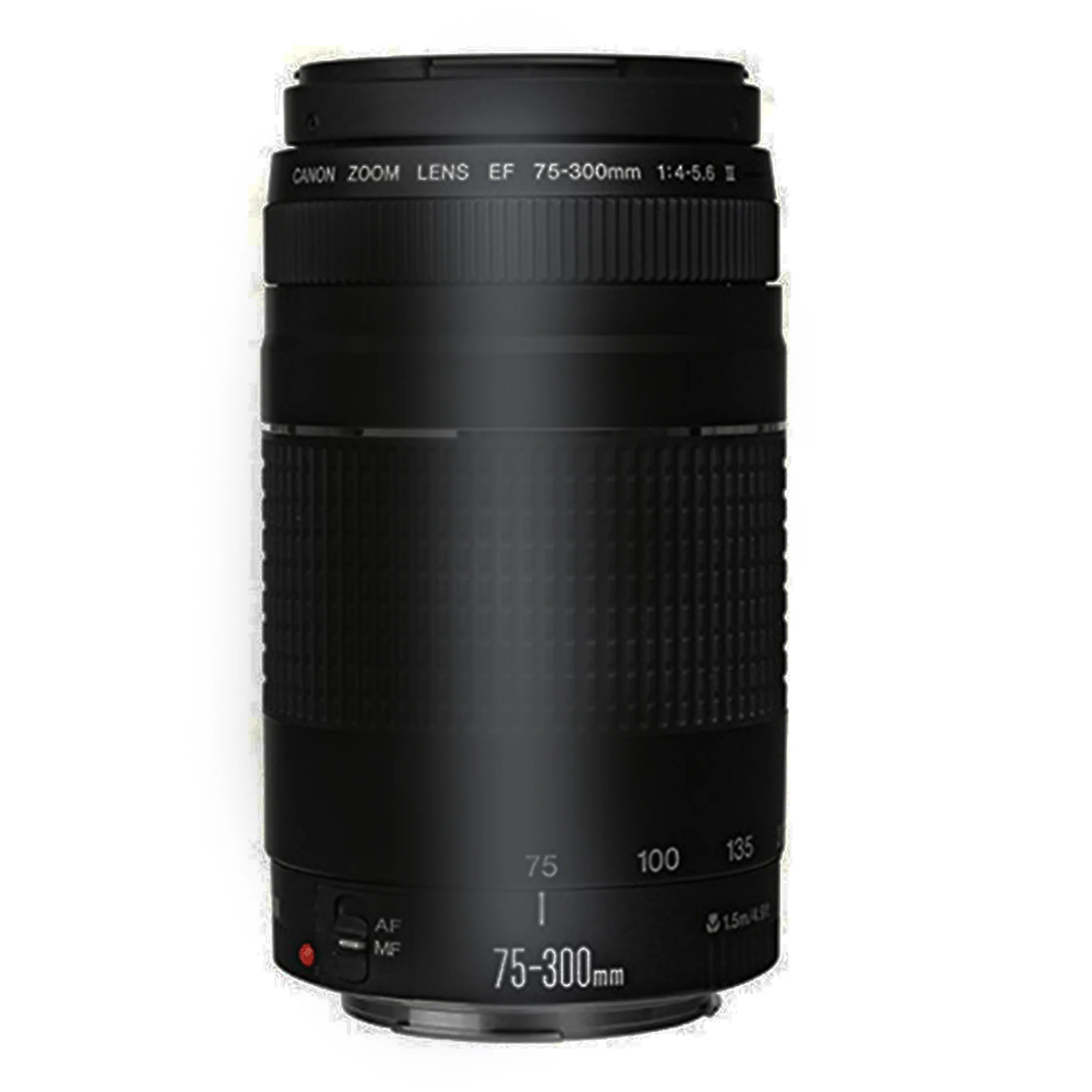Canon EF 75-300mm f/4-5.6 III Telephoto Zoom Lens with 24GB Accessory Kit for Canon 70D , 77D , 80D and 760D - Image 2