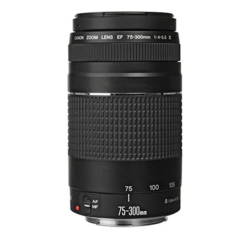 Canon EF 75-300mm f/4-5.6 III Telephoto Zoom Lens with Accessory Bundle for Canon DSLR Cameras - Image 2