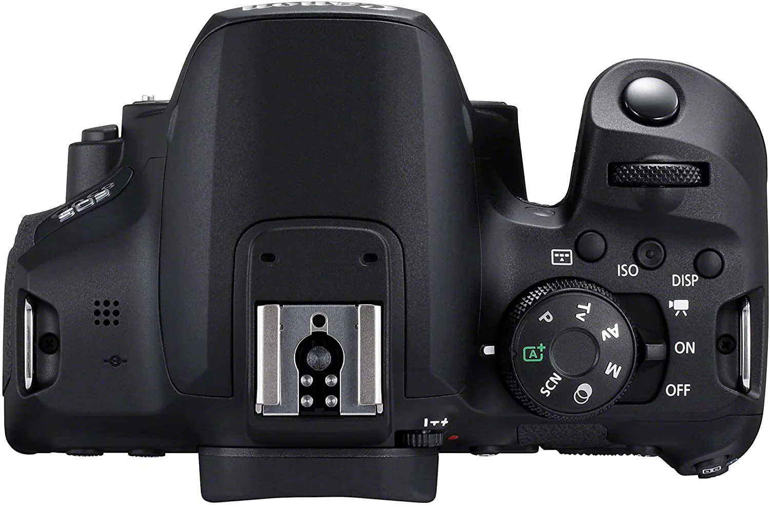 Canon EOS 850D (T8i) DSLR Camera (Body Only) - Image 4