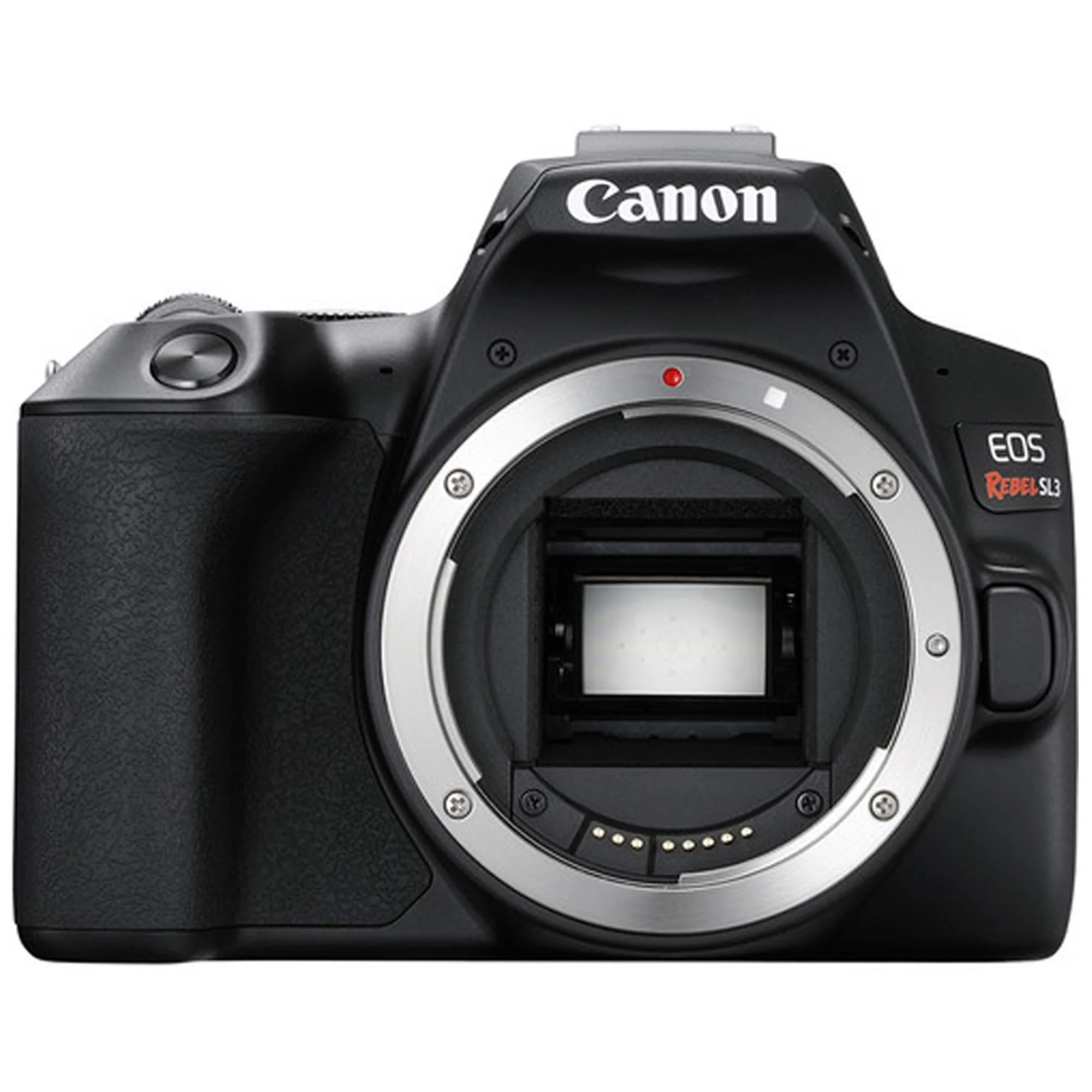 Canon EOS Rebel SL3 DSLR Camera (Black, Body Only) with Canon EF-S 17-55mm f/2.8 IS USM Lens and Kit - Image 2