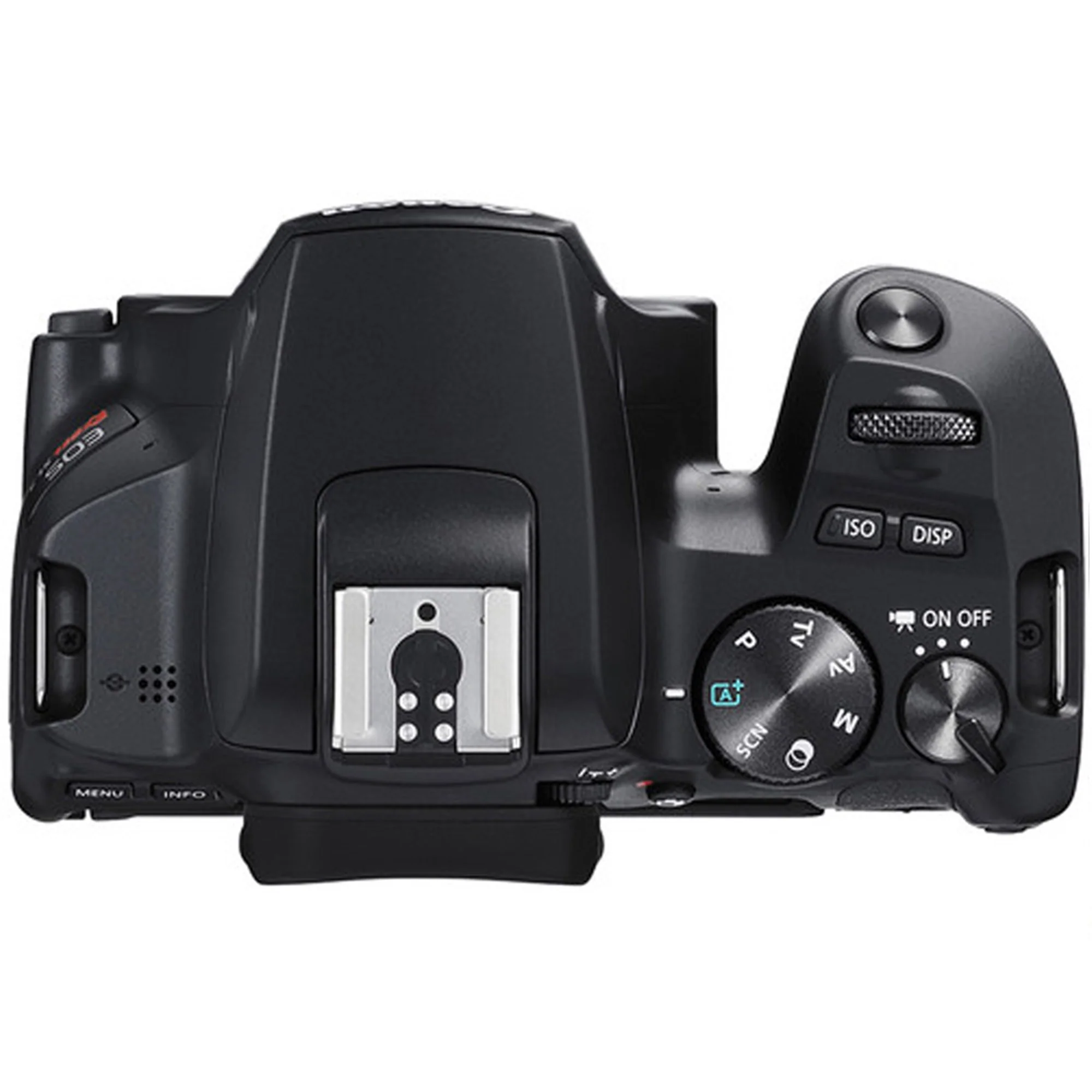 Canon EOS Rebel SL3 DSLR Camera (Black, Body Only) with Canon EF-S 17-55mm f/2.8 IS USM Lens and Kit - Image 4
