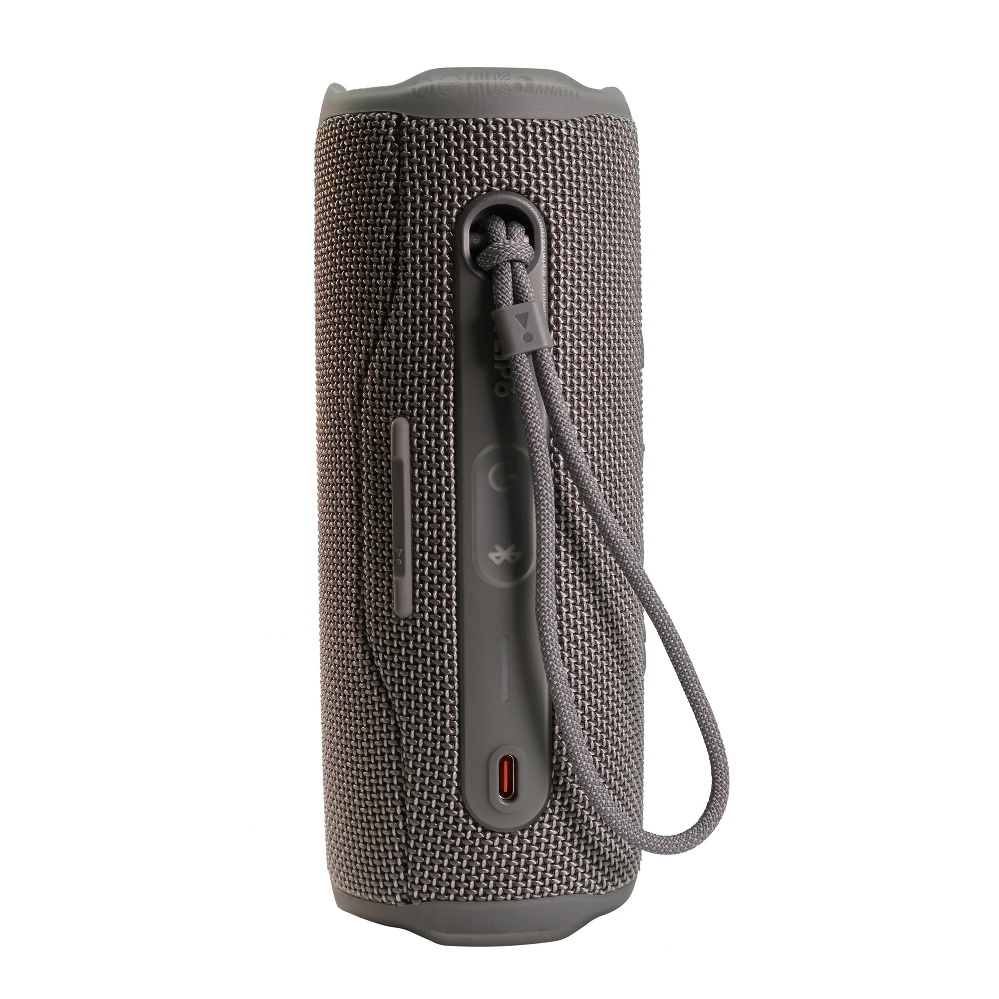 JBL FLIP 6 Wireless Portable Waterproof Speaker - Gray + JBL T110 in Ear Headphones Black - Image 4